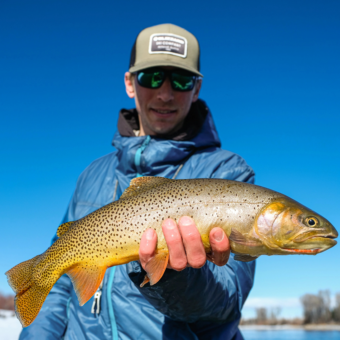 Fishing Report - February 2025