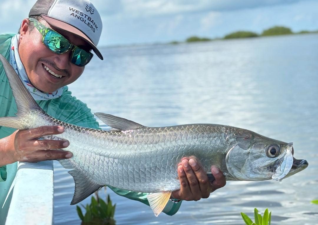 Trip Report: Isla Holbox Fall 2024