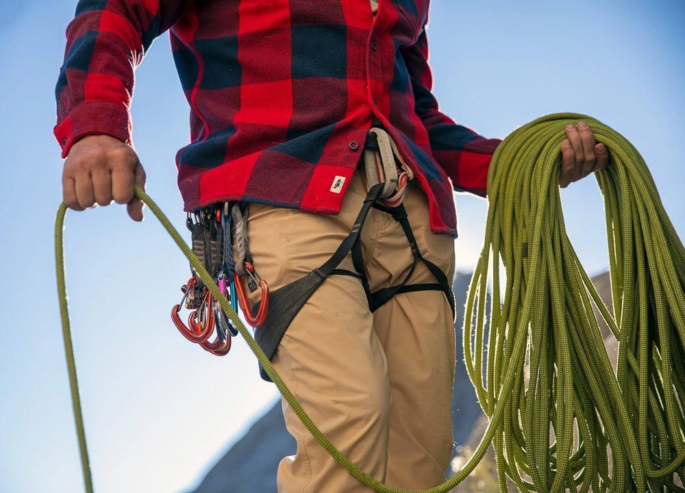 3Bird Migration Pant