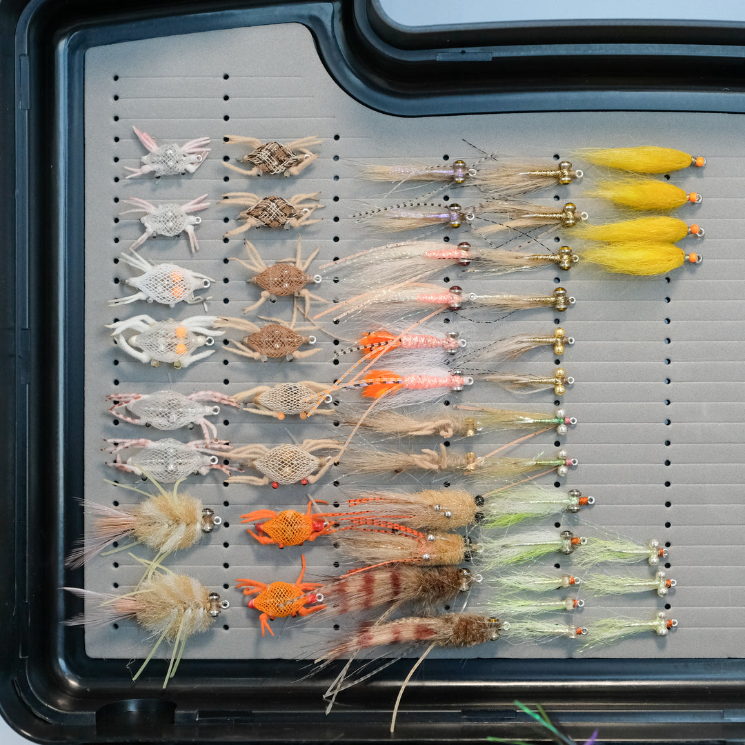 Seychelles/Indian Ocean Fly Pack