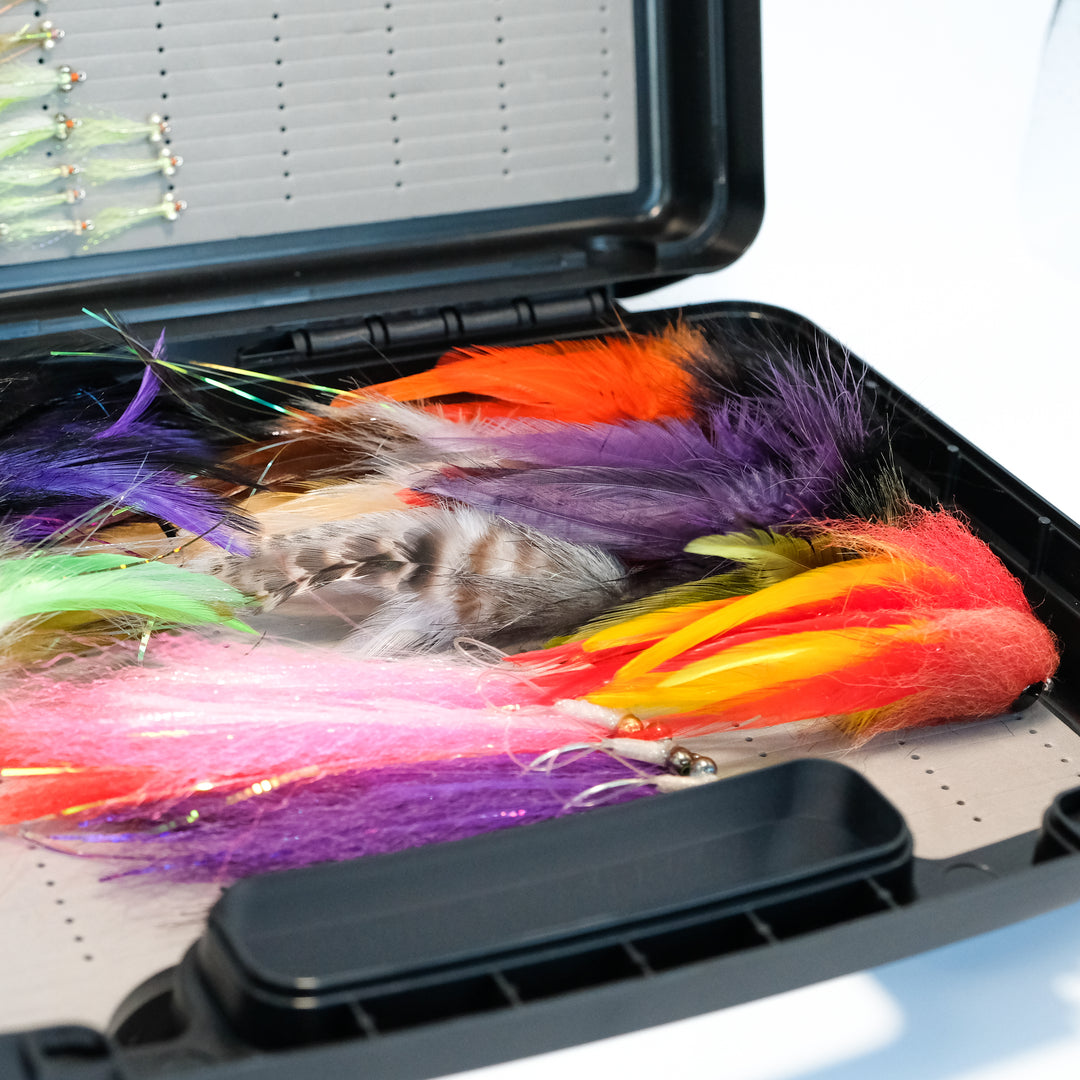 Seychelles/Indian Ocean Fly Pack