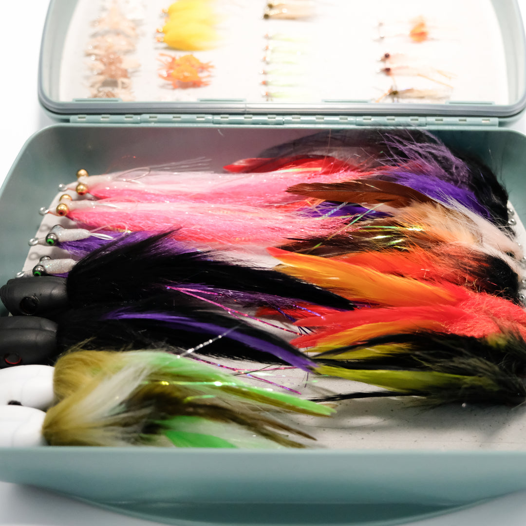 Seychelles/Indian Ocean Fly Pack