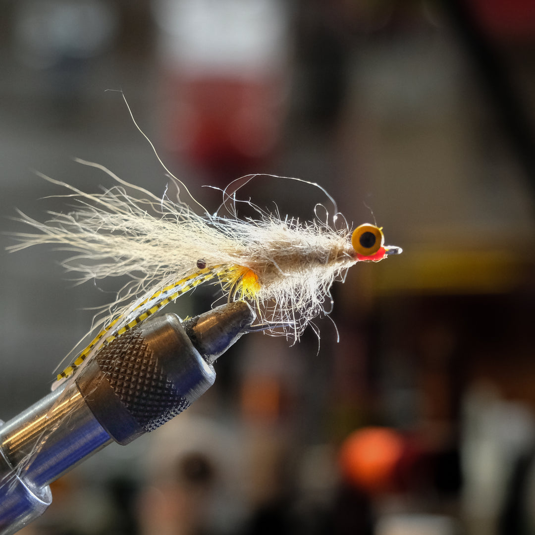 Kenny Prawners Spawning Shrimp