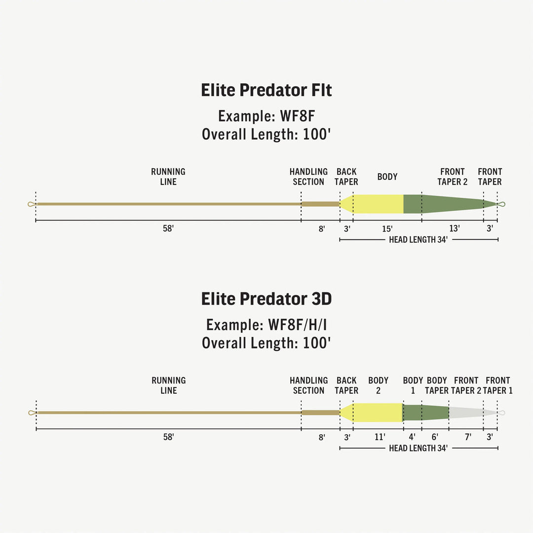 Rio Elite Predator