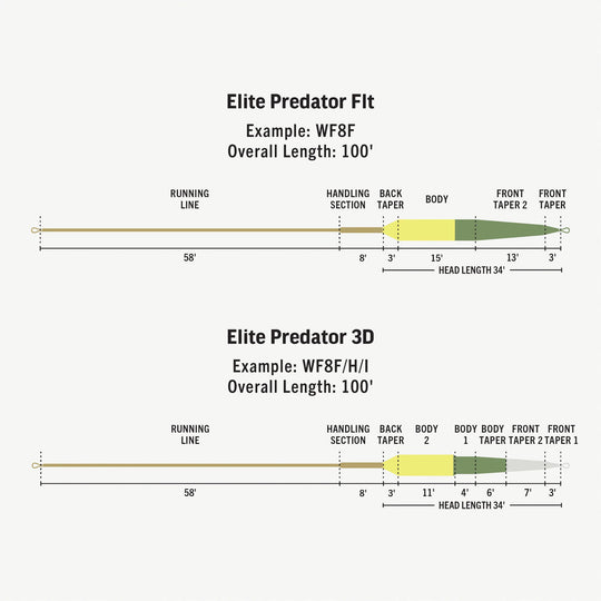 Rio Elite Predator