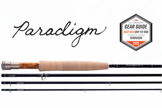 Thomas & Thomas Paradigm Rod