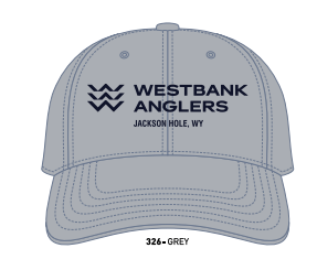 WBA Richardson Lowkey Dad Hat