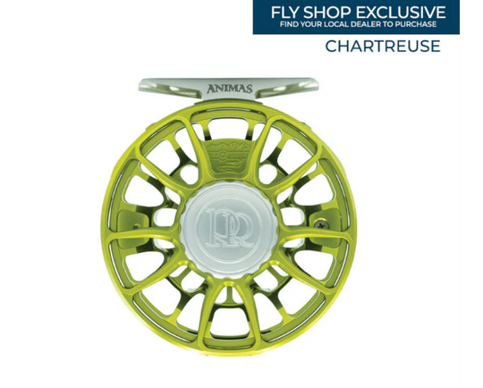 Ross Animas Reel