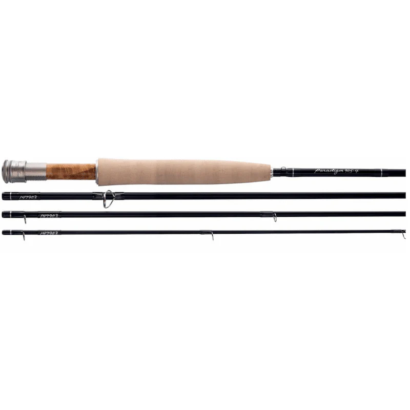 Thomas & Thomas Paradigm Rod