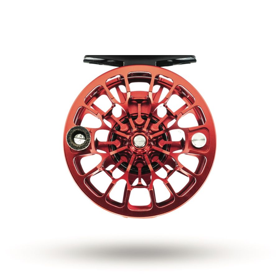 Ross Animas Reel