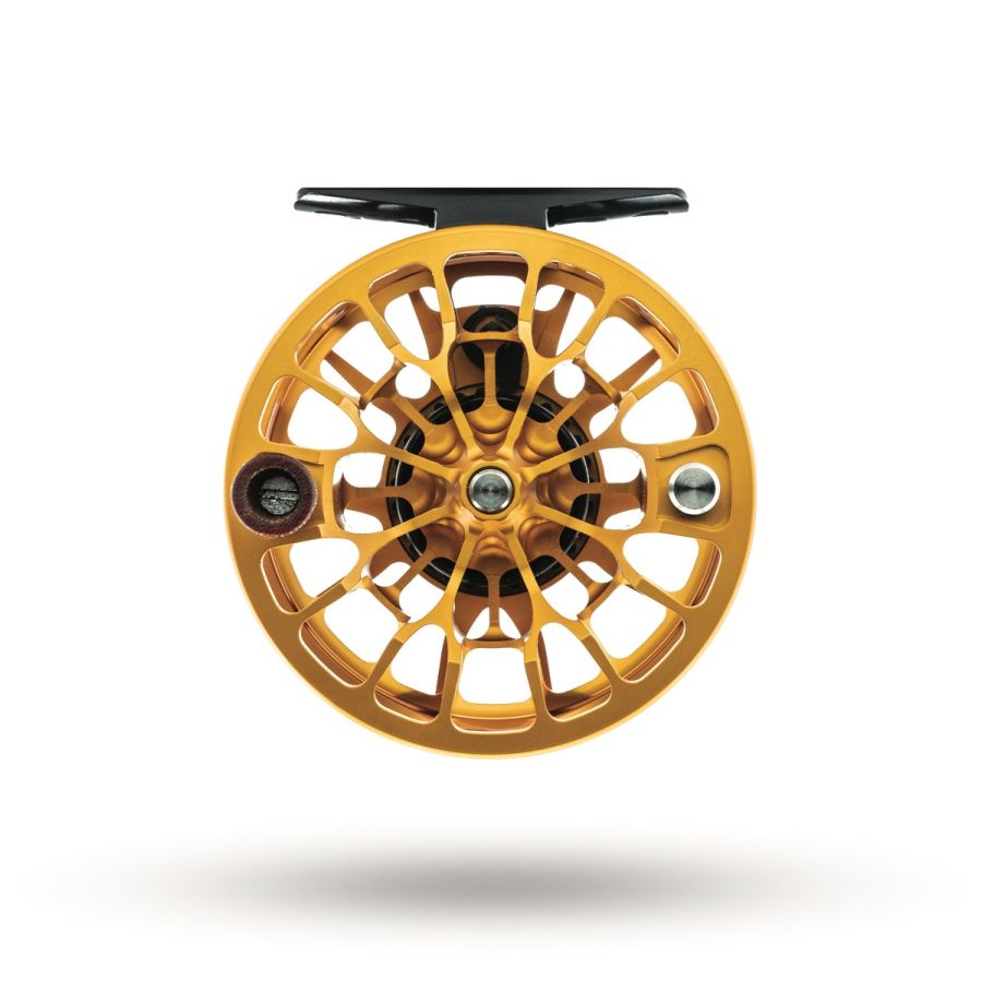 Ross Animas Reel