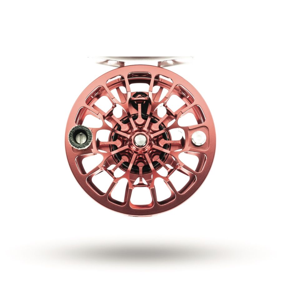 Ross Animas Reel
