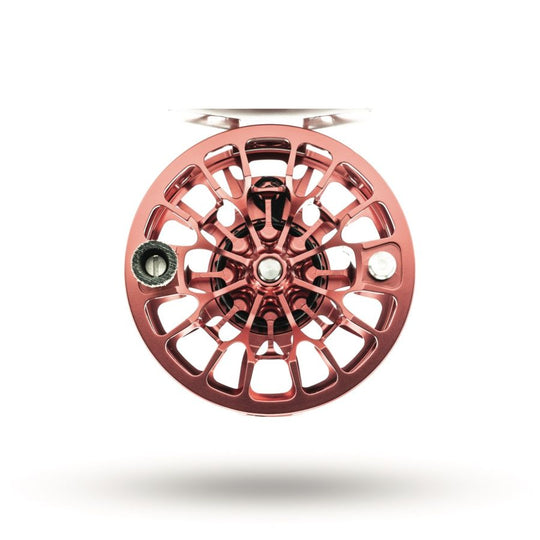 Ross Animas Reel