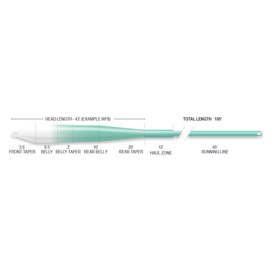 Airflo Clear Salt Universal Taper