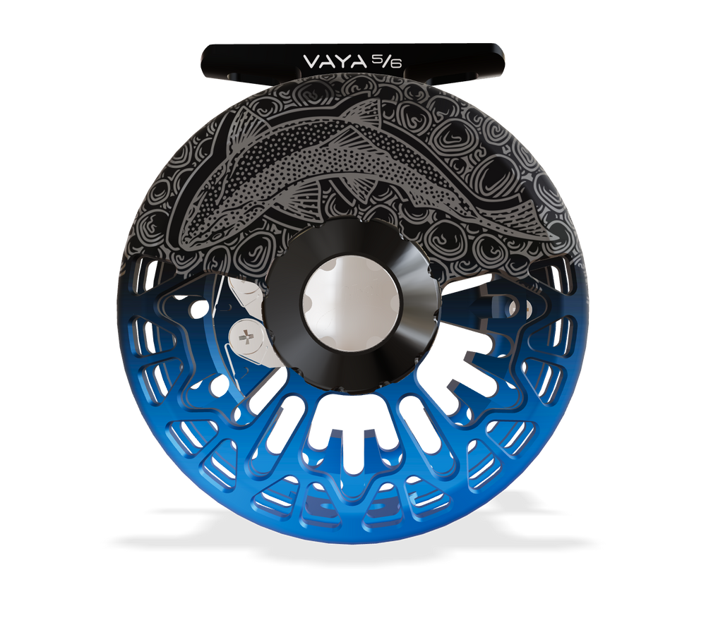 Abel Vaya Reel