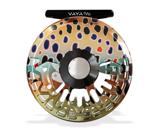 Abel Vaya Reel